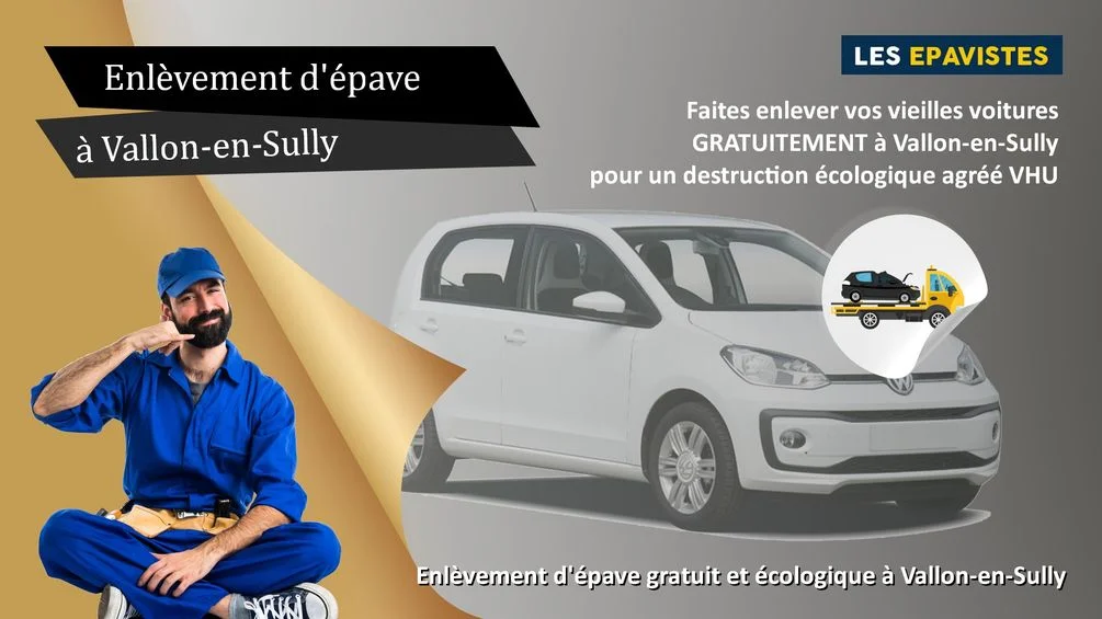 enlèvement épave Vallon-en-Sully