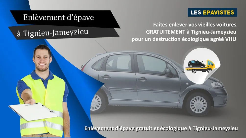 enlèvement épave Tignieu-Jameyzieu