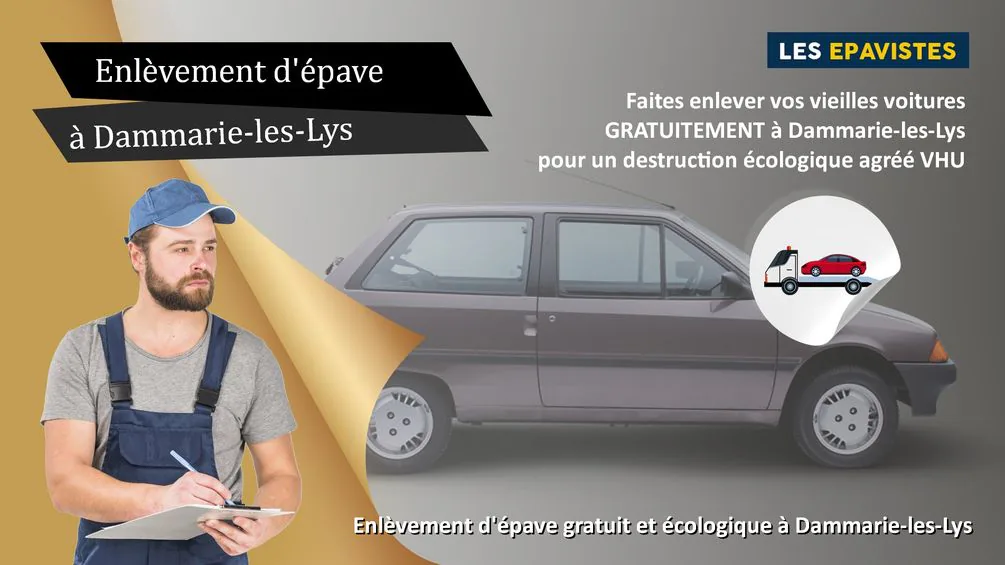 enlèvement épave Dammarie-les-Lys